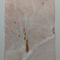 A loose watercolour of a flowing pattern
