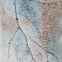 Watercolour frottage of a tomato plant in blue and orange