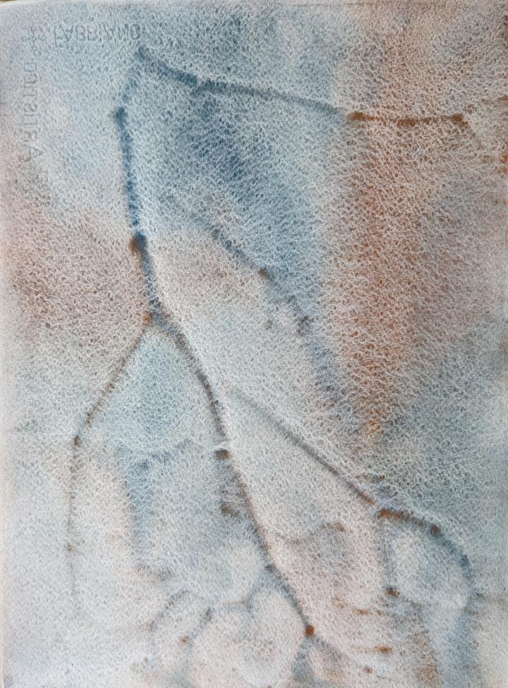 Watercolour frottage of a tomato plant in blue and orange