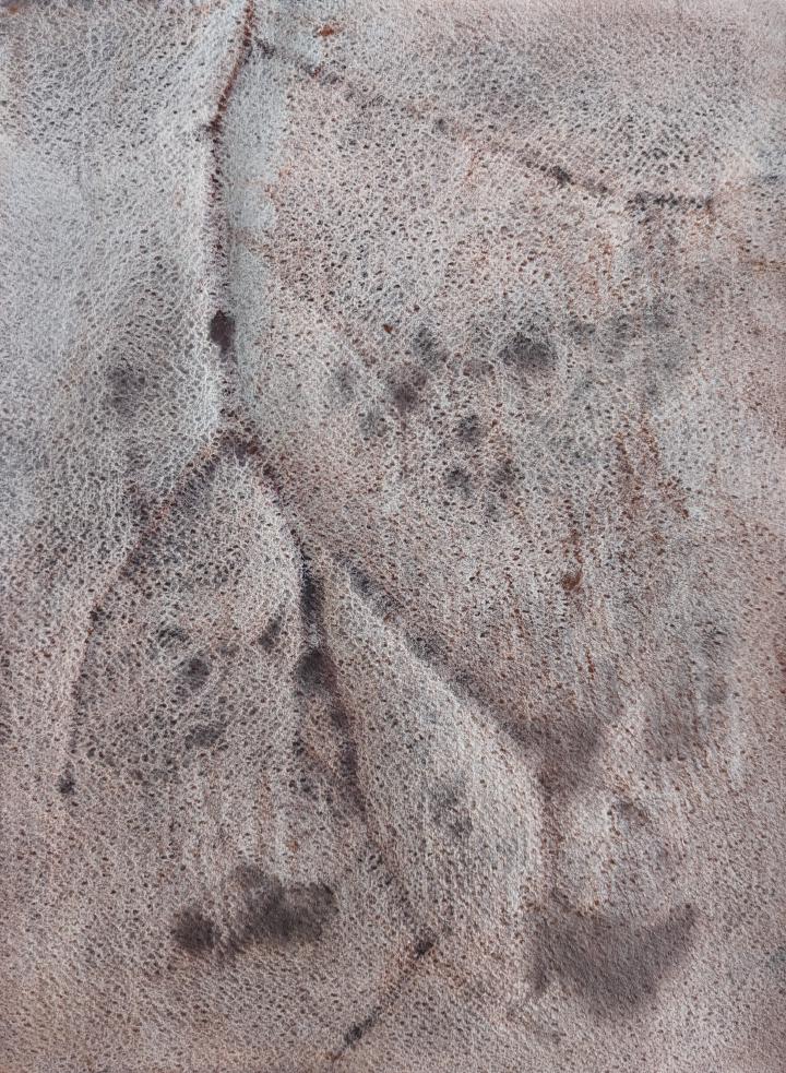 Watercolour frottage of a tomato plant in brown