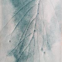 Watercolour frottage of a plant inverted to look like roots