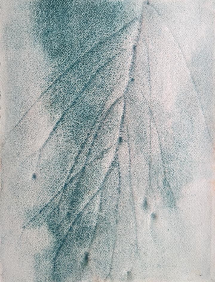 Watercolour frottage of a plant inverted to look like roots
