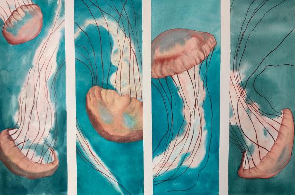 four panels of orange-pink jellyfish floating in a dark turquoise sea