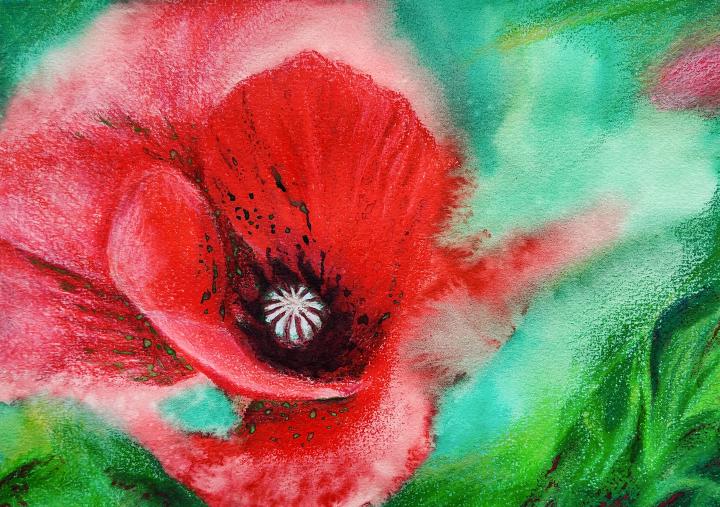 a red poppy, the center in focus and the edges fading into a green background