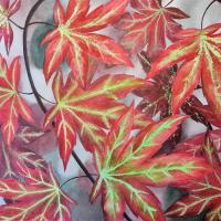 a spread of red japanese maple leaves with green veins