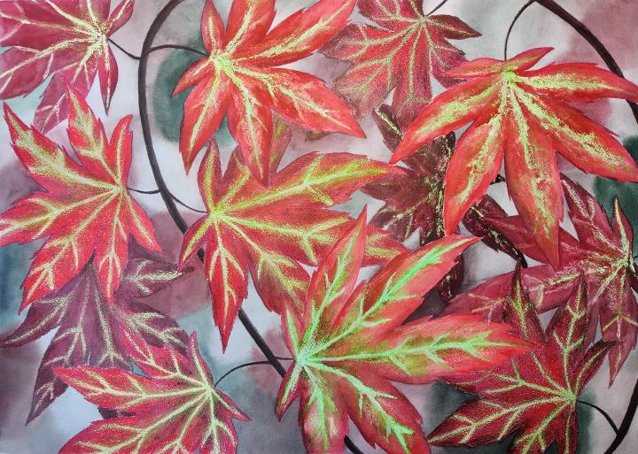 a spread of red japanese maple leaves with green veins