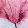 Loose watercolour painting of a close up of a poppy where the petals meet the stem. The form is suggested in the foreground, fading into watercolour bleeds by the petals in the background.