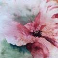 Loose watercolour painting of a close up of a poppy on the centre of the flower.  The stamens and pistils are defined, and the red petals bleed into the green background