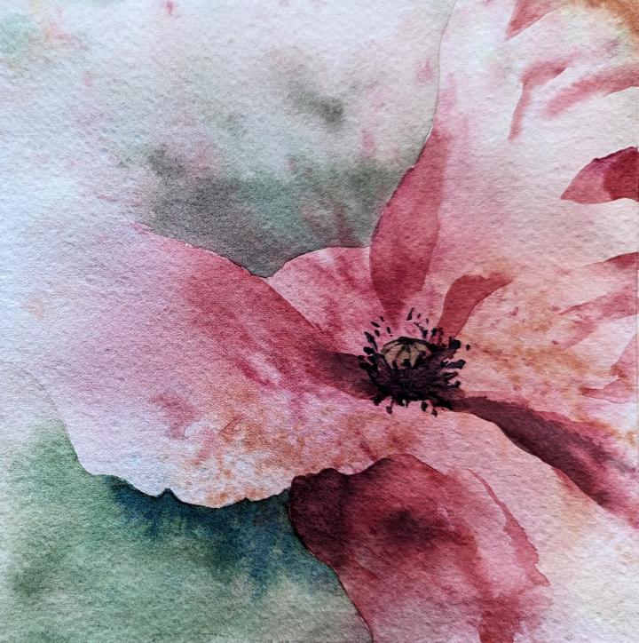 Loose watercolour painting of a close up of a poppy on the centre of the flower.  The stamens and pistils are defined, and the red petals bleed into the green background