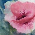 Loose watercolour painting looking down on a poppy.  The watercolour bleeds indicate veins in the magenta petals, and leaves or grass are loosely suggested in the background