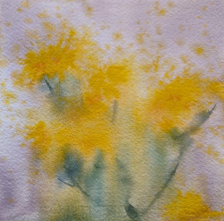 Loose watercolour painting of one clump of ragwort, yellow flowers with orange centres in a sea of green leaves and stems on a purple background
