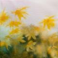 Loose watercolour painting of ragwort, yellow flowers with orange centres in a sea of green leaves