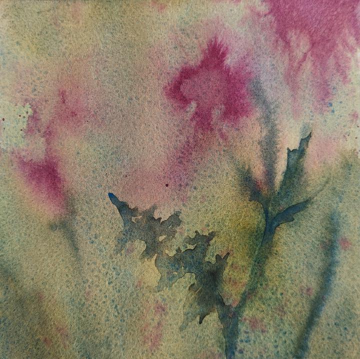 Loose watercolour painting of 4 or 5 thistles, where the bleeds of magenta watercolour mimic the pointiness of the flowers