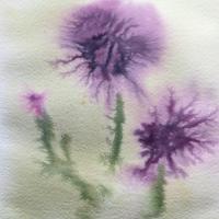 Loose watercolour painting of 3 thistles, where the bleeds of purple watercolour mimic the pointiness of the flowers