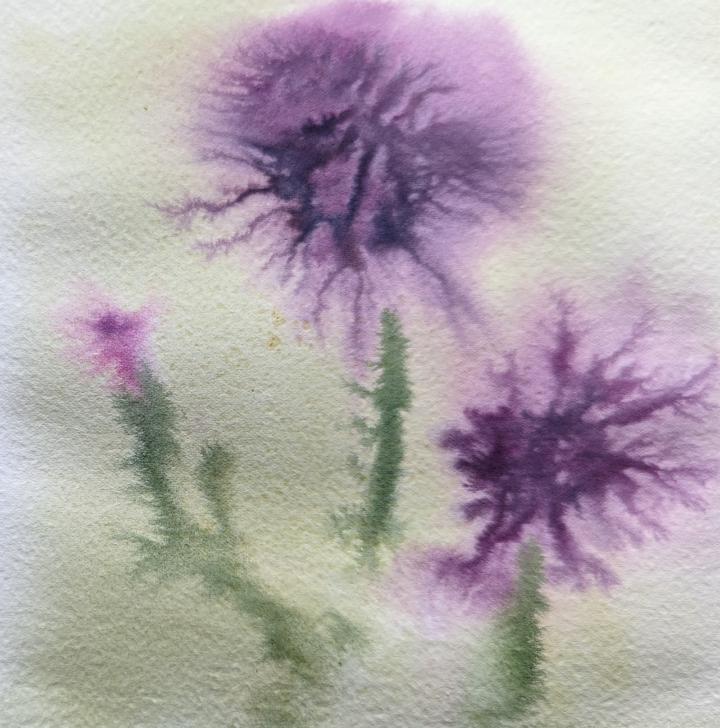 Loose watercolour painting of 3 thistles, where the bleeds of purple watercolour mimic the pointiness of the flowers